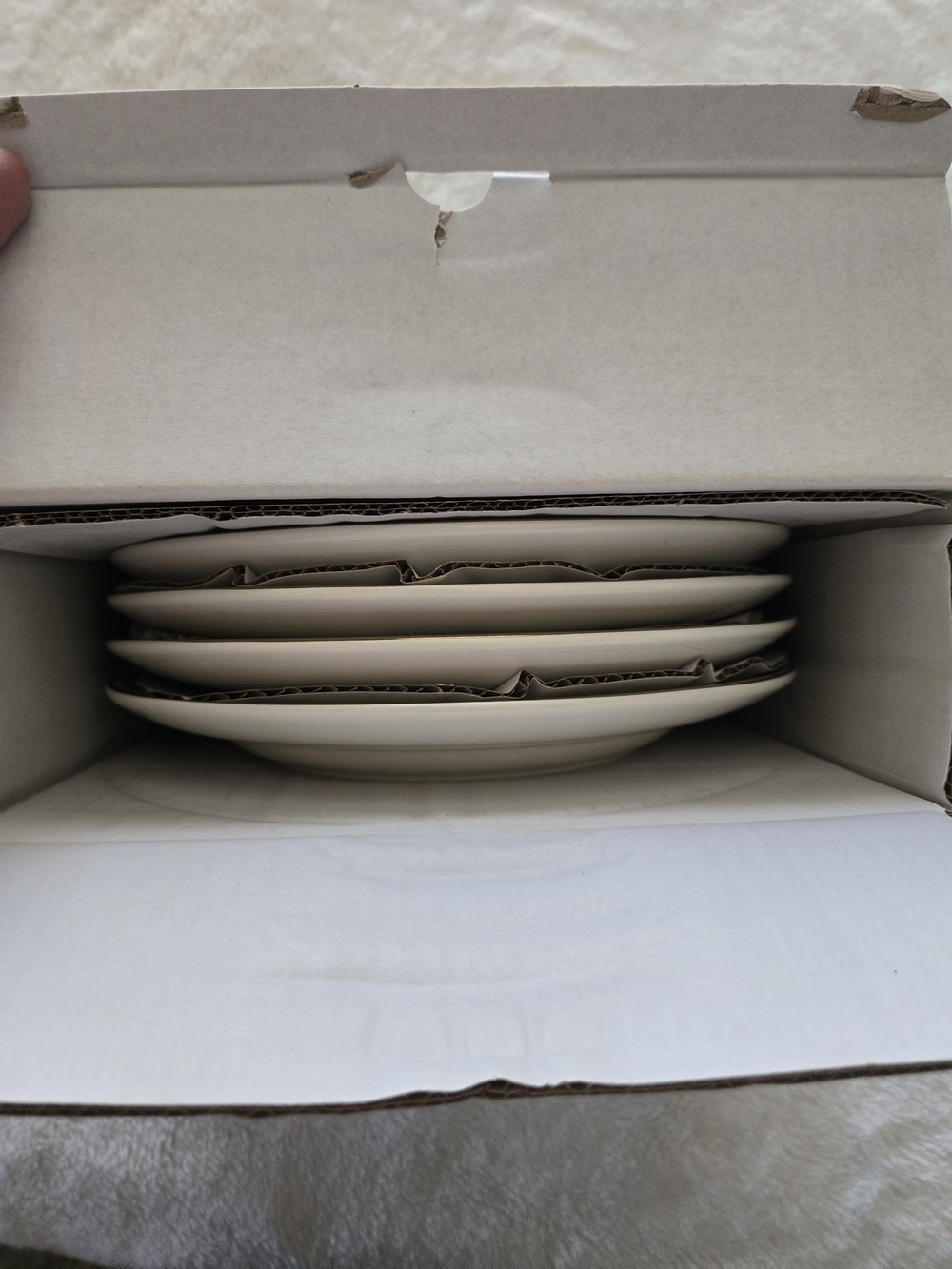 Pottery Barn - Botanical Harvest Salad Plate Set - NEW! - Picture 5 of 6